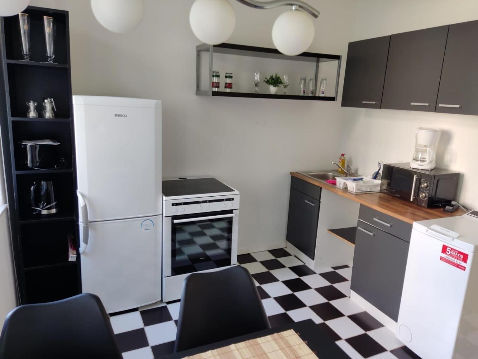 Flex Aparts - Grosse, Moeblierte Wohnung In Zwickau Mit 2 Zimmern Екстериор снимка